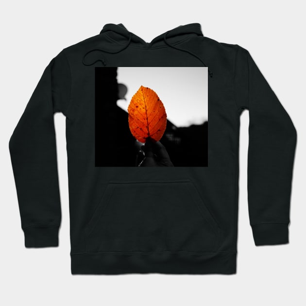 What can I use autumn leaves for? Hoodie by fantastic-designs